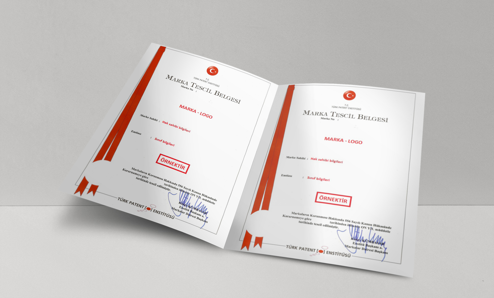 Marka ve Patent Tescili